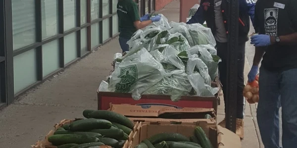 ACCESS Grand Boulevard Family Health - Specialty Center