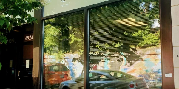 A Wellness Organization